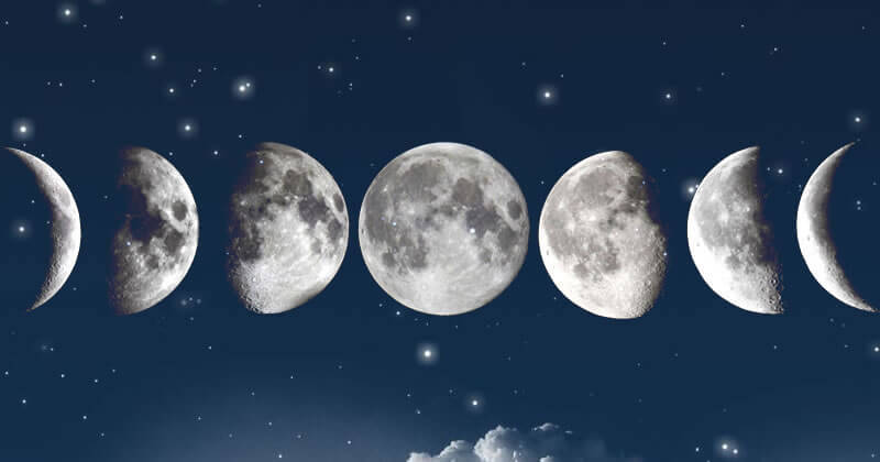 A Magia das Folhas | Qual a lua de hoje? Acesse e aprenda a descobrir a fase da lua sem usar calendário - basta olhar para o céu e a natureza te responderá!