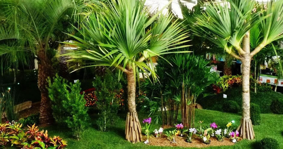 10 plantas que vão purificar o seu ar e o seu lar